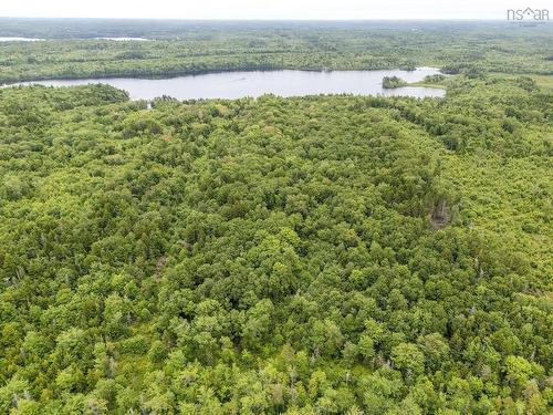 Lot 1 Highway 1, Grosses Coques, NS 