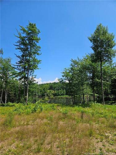 3506 Route 690, Flowers Cove, NB 