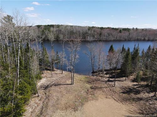 3506 Route 690, Flowers Cove, NB 