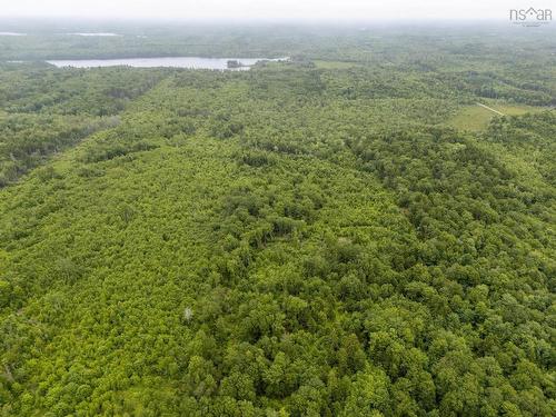 Lot 4 Highway 1, Grosses Coques, NS 