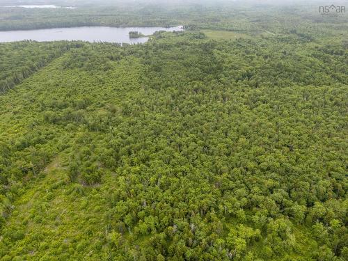 Lot 4 Highway 1, Grosses Coques, NS 