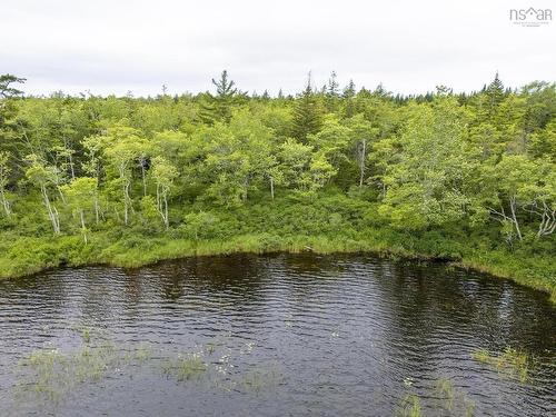 Lot 4 Highway 1, Grosses Coques, NS 