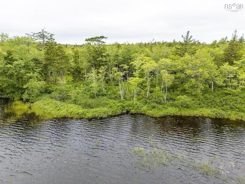 Lot 4 Highway 1, Grosses Coques, NS 