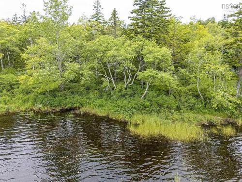 Lot 4 Highway 1, Grosses Coques, NS 