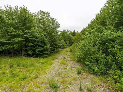 Lot 4 Highway 1, Grosses Coques, NS 