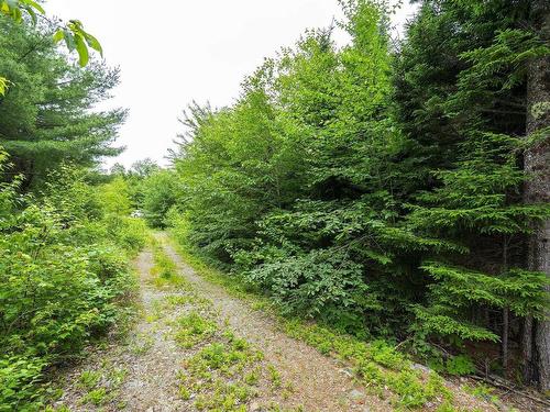 Lot 4 Highway 1, Grosses Coques, NS 