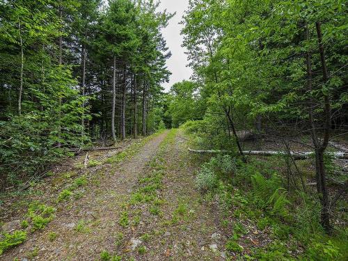 Lot 4 Highway 1, Grosses Coques, NS 