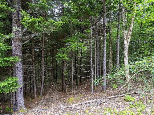 Lot 4 Highway 1, Grosses Coques, NS 