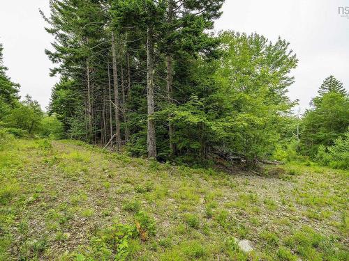 Lot 4 Highway 1, Grosses Coques, NS 
