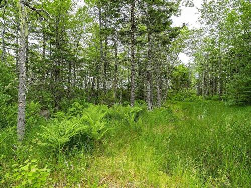 Lot 4 Highway 1, Grosses Coques, NS 