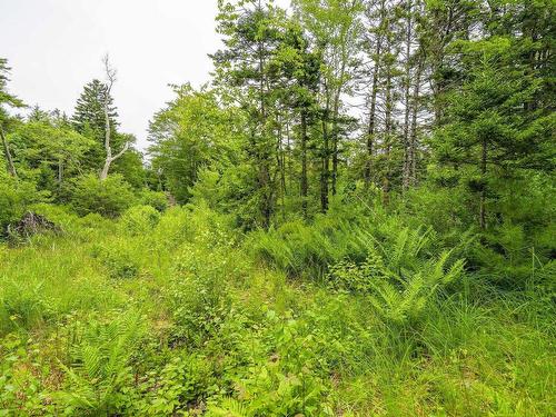 Lot 4 Highway 1, Grosses Coques, NS 
