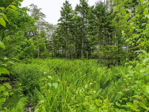 Lot 4 Highway 1, Grosses Coques, NS 