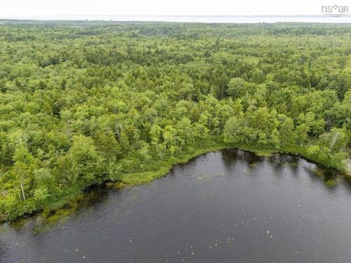 Lot 4 Highway 1, Grosses Coques, NS 