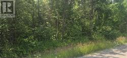 TBD FOREST HILL ROAD Monetville, ON P0M 2K0