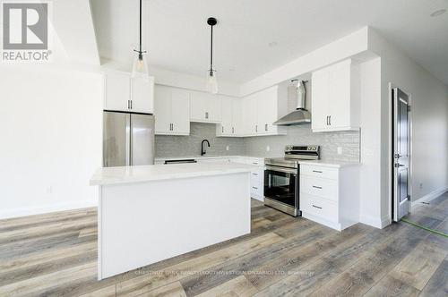 575 Guelph Street, Kitchener, ON - Indoor Photo Showing Kitchen With Upgraded Kitchen