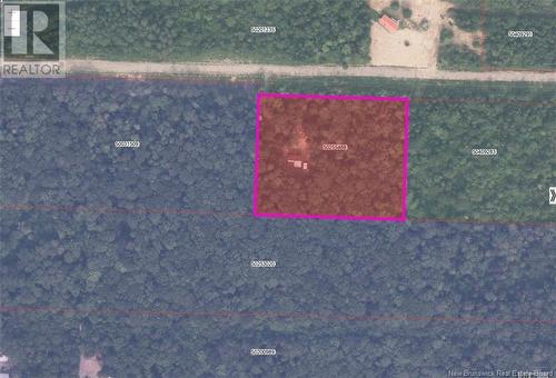 Lot Eva Road, Kedgwick, NB 