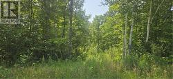 TBD FOREST HILL ROAD Monetville, ON P0M 2K0