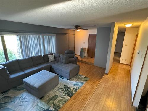 59078 149W Road W, Virden, MB - Indoor Photo Showing Living Room