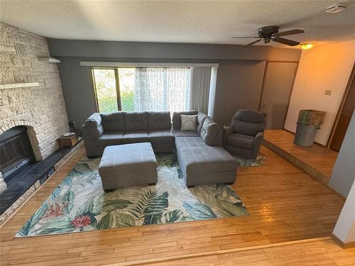 59078 149W Road W, Virden, MB - Indoor Photo Showing Living Room With Fireplace