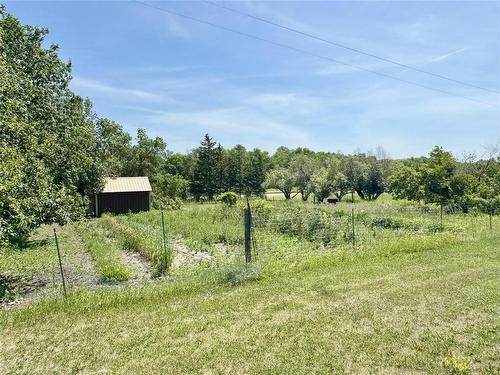 59078 149W Road W, Virden, MB - Outdoor With View