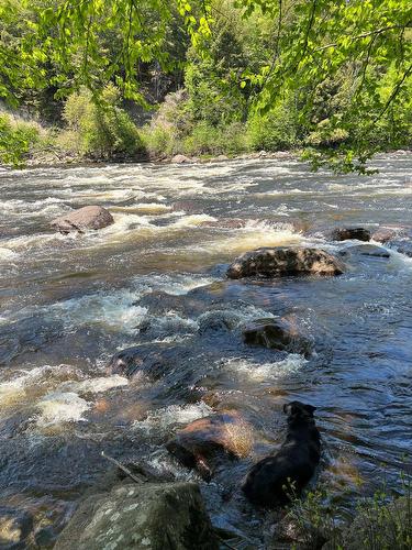 Bord de l'eau - Ch. De La Rouge, Arundel, QC 