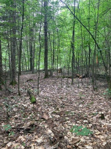 À construire - Ch. Du Lac-De-L'Écluse, Val-Des-Monts, QC 