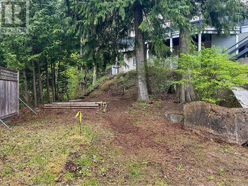 822 Richards West Street, Nelson, BC - Outdoor