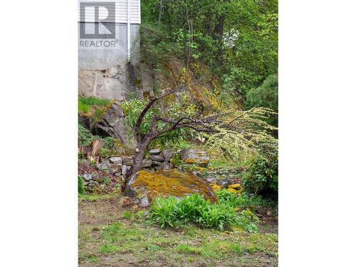 822 Richards West Street, Nelson, BC - Outdoor