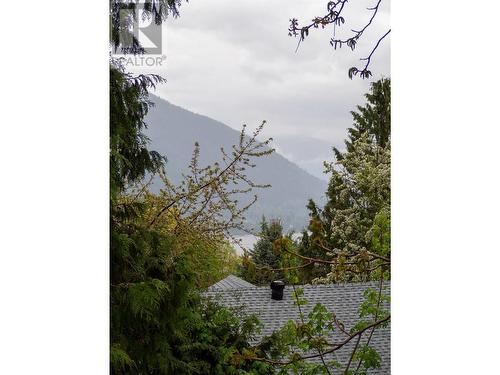 822 Richards West Street, Nelson, BC - Outdoor With View