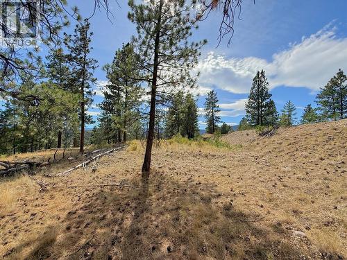 101 Jacobson Road, Princeton, BC 