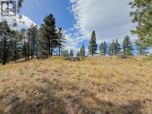 101 Jacobson Road, Princeton, BC 