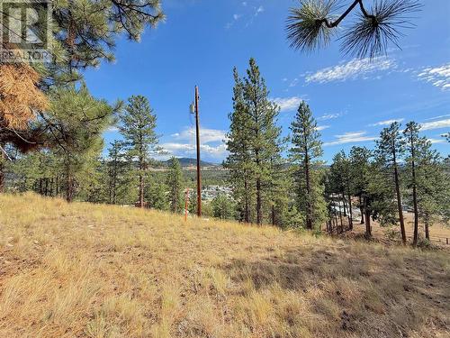 101 Jacobson Road, Princeton, BC 