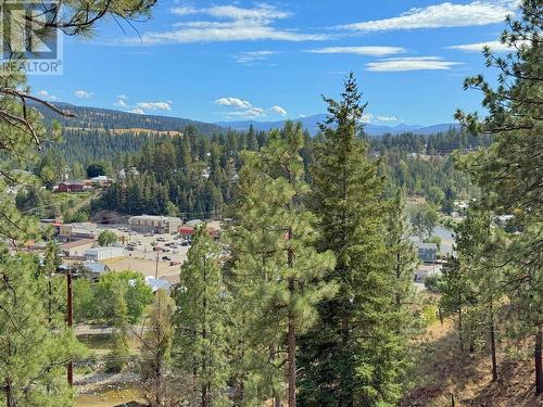 101 Jacobson Road, Princeton, BC 