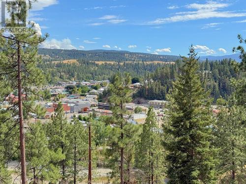 101 Jacobson Road, Princeton, BC 