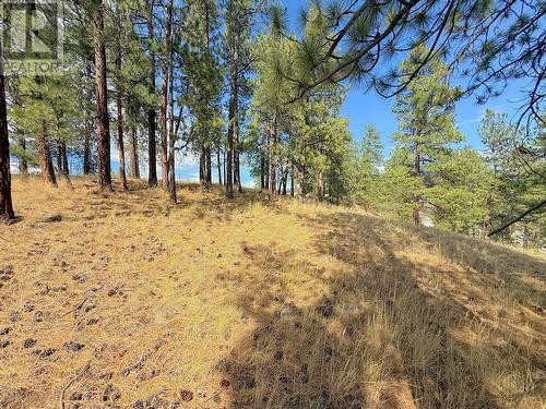 101 Jacobson Road, Princeton, BC 