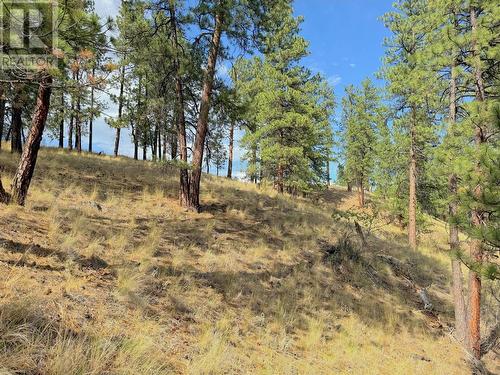 101 Jacobson Road, Princeton, BC 