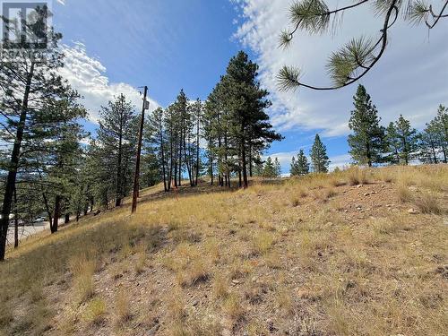 101 Jacobson Road, Princeton, BC 