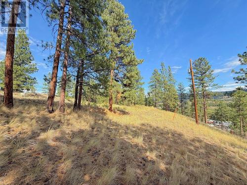 101 Jacobson Road, Princeton, BC 