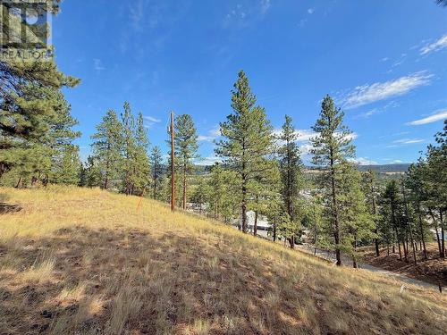 101 Jacobson Road, Princeton, BC 