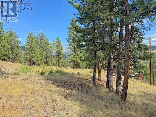 101 Jacobson Road, Princeton, BC 