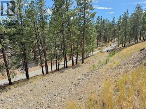 101 Jacobson Road, Princeton, BC 