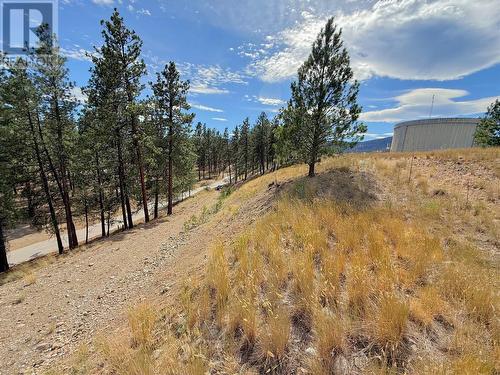 101 Jacobson Road, Princeton, BC 