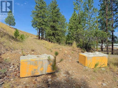 101 Jacobson Road, Princeton, BC 