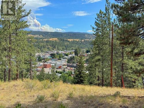 101 Jacobson Road, Princeton, BC 