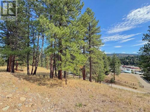 101 Jacobson Road, Princeton, BC 