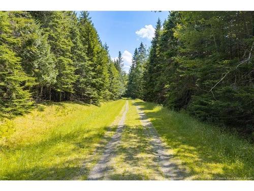 00 Bayview Blvd, Chamcook, NB 