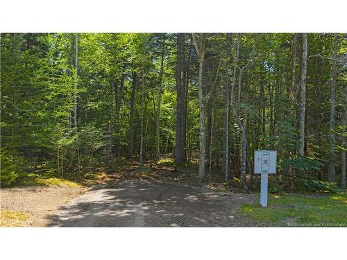 00 Bayview Blvd, Chamcook, NB 