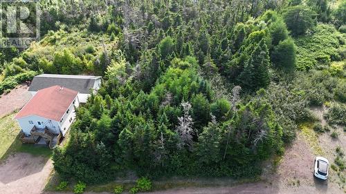 100C Main Street, Lewin'S Cove, NL 