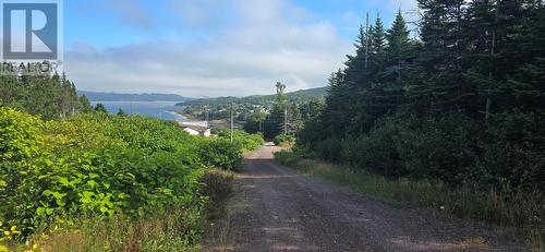 100C Main Street, Lewin'S Cove, NL 