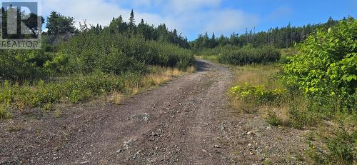 100C Main Street, Lewin'S Cove, NL 